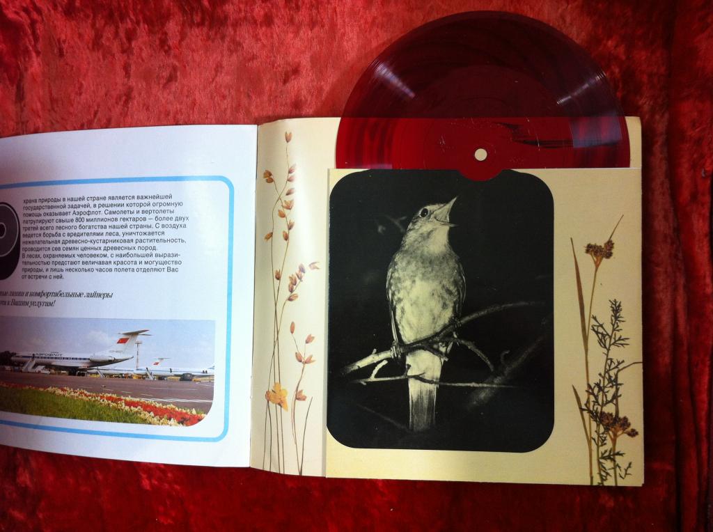 Песни русского леса (приложение к буклету Аэрофлота)