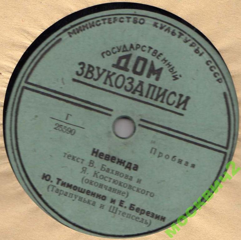 Ю. Тимошенко и Е. Березин