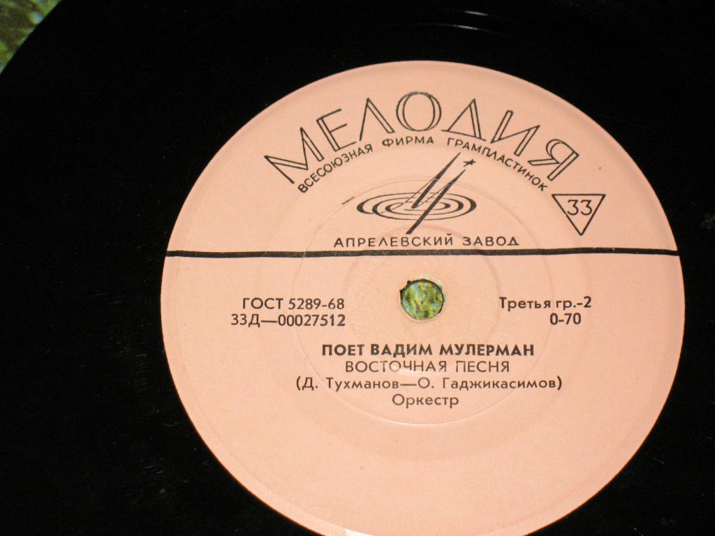 Поет Вадим Мулерман