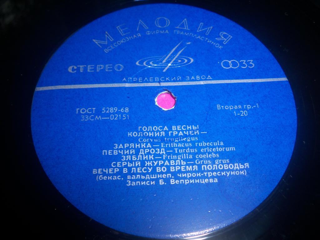 ГОЛОСА ВЕСНЫ  (записи пения и голосов птиц)