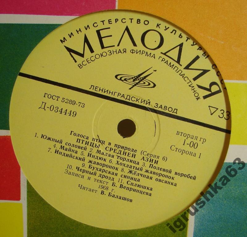 ГОЛОСА ПТИЦ В ПРИРОДЕ. Средняя Азия (6 серия)