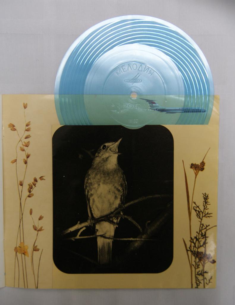 Песни русского леса (приложение к буклету Аэрофлота)