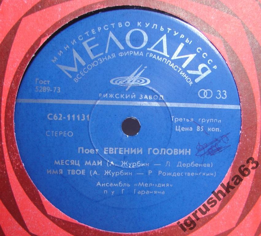 Поет Евгений ГОЛОВИН