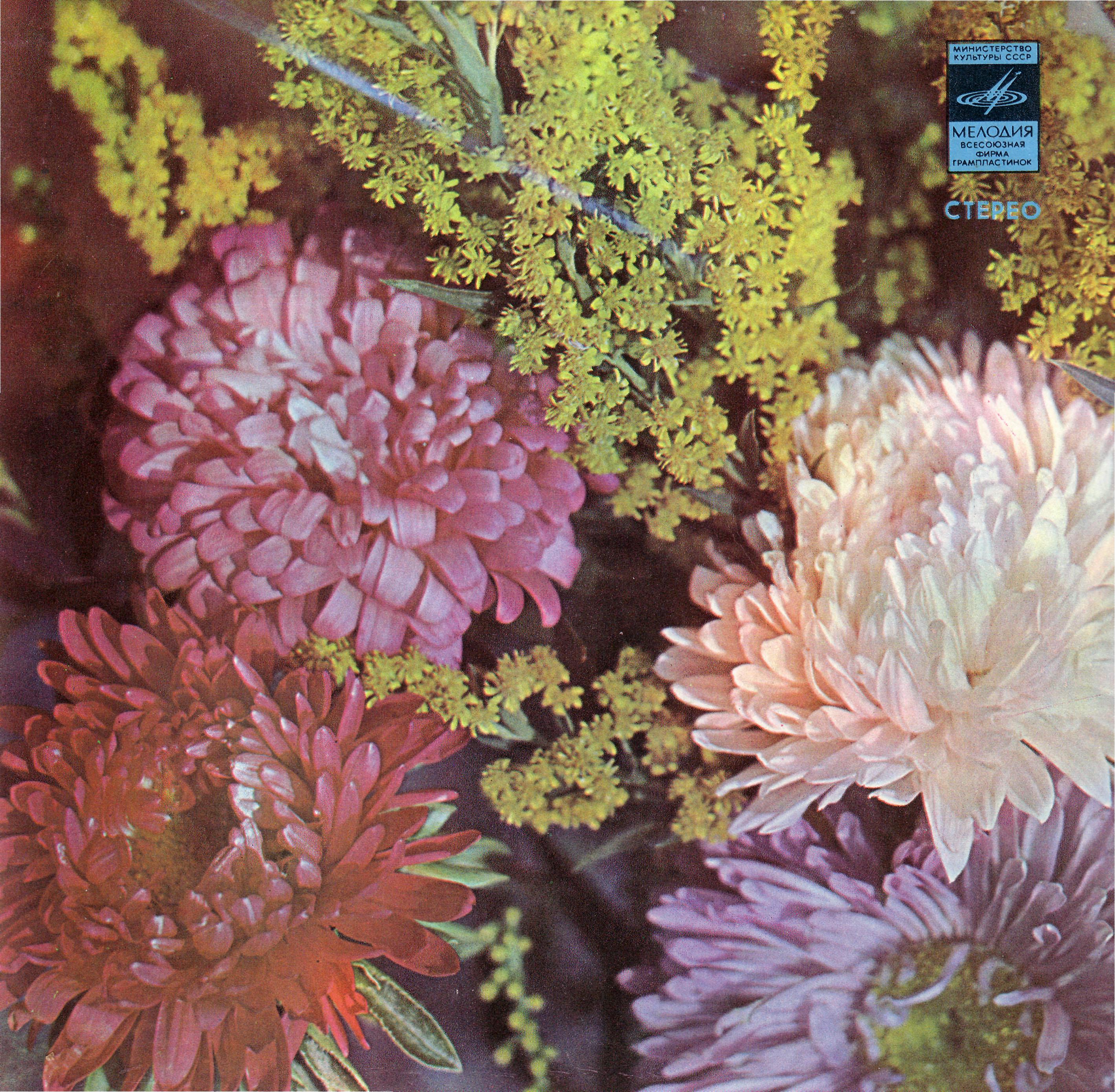 Евгений Мартынов поёт свои песни