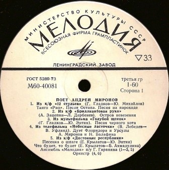 Поет Андрей Миронов