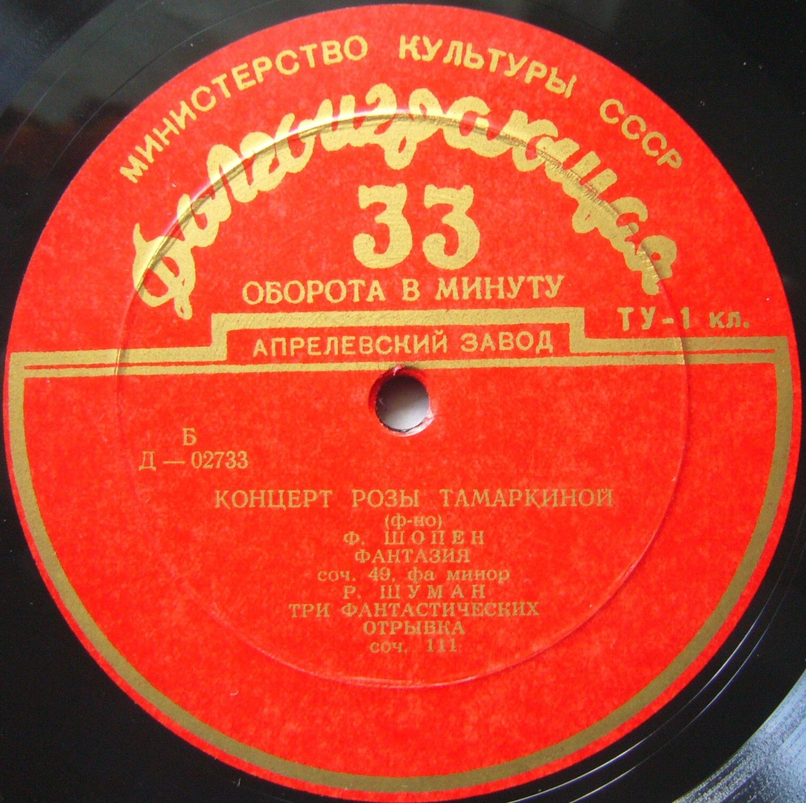 Роза Тамаркина (ф-но)