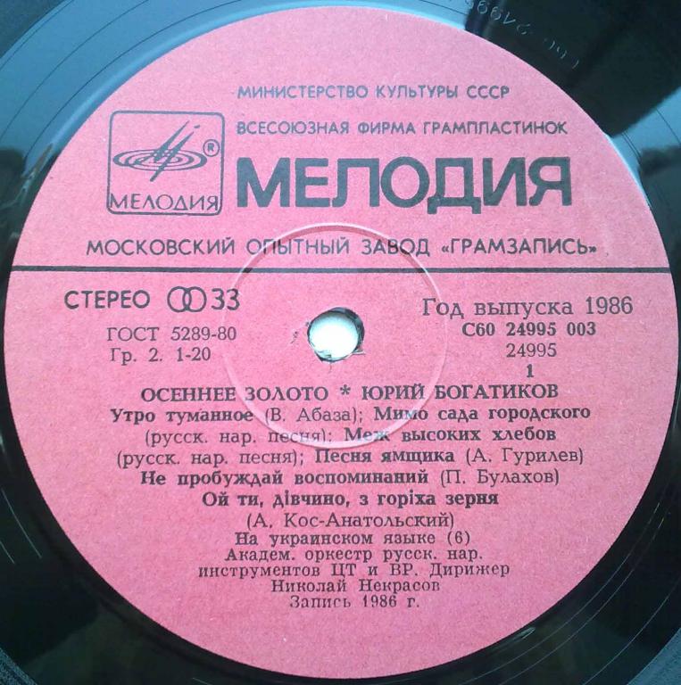БОГАТИКОВ Юрий. Осеннее золото
