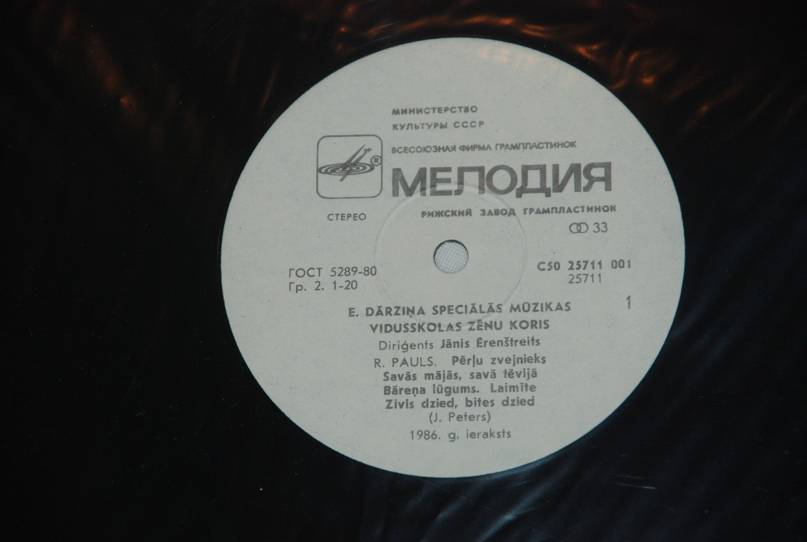 ХОР МАЛЬЧИКОВ СРЕДНЕЙ СПЕЦИАЛЬНОЙ МУЗЫКАЛЬНОЙ ШКОЛЫ им. Э. ДАРЗИНЬША, дирижер Янис Эренштрейтс. Песни Р. Паулса: