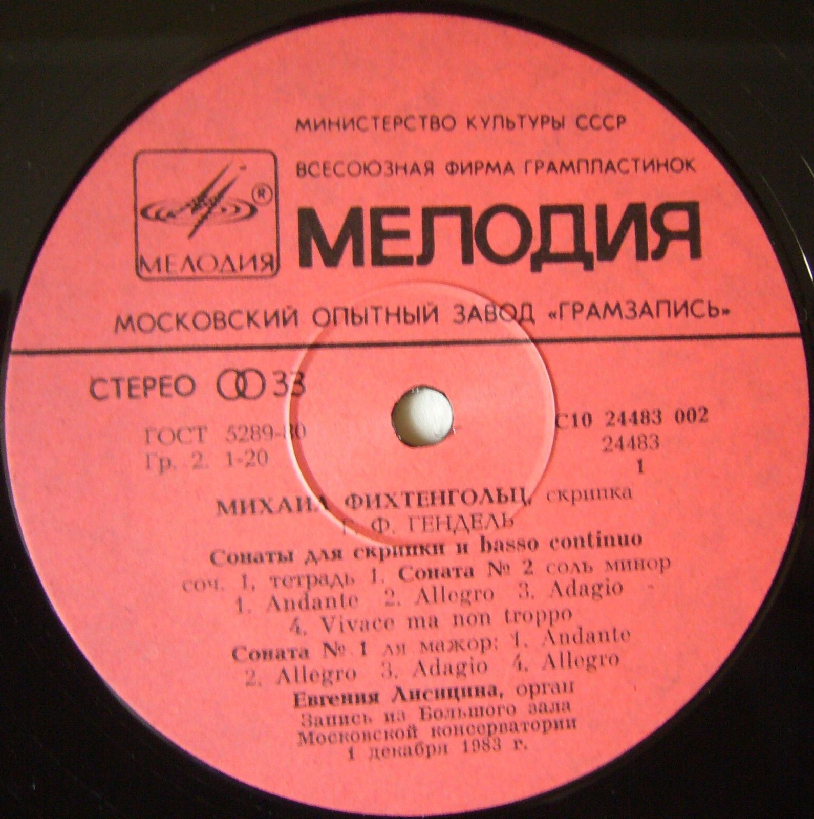 Михаил ФИХТЕНГОЛЬЦ (скрипка)