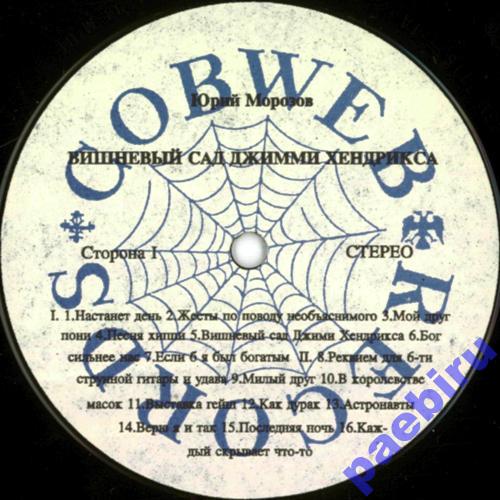 МОРОЗОВ Юрий. Вишневый сад Джими Хендрикса