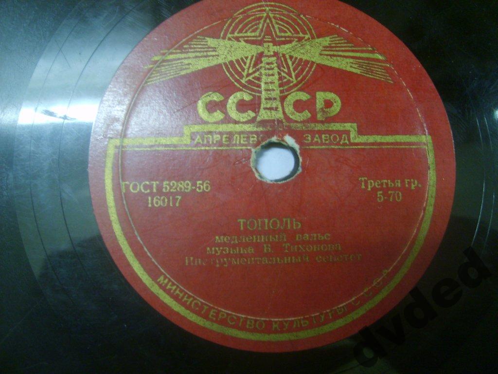 Инстр. ансамбль - Тополь / Цветущий май