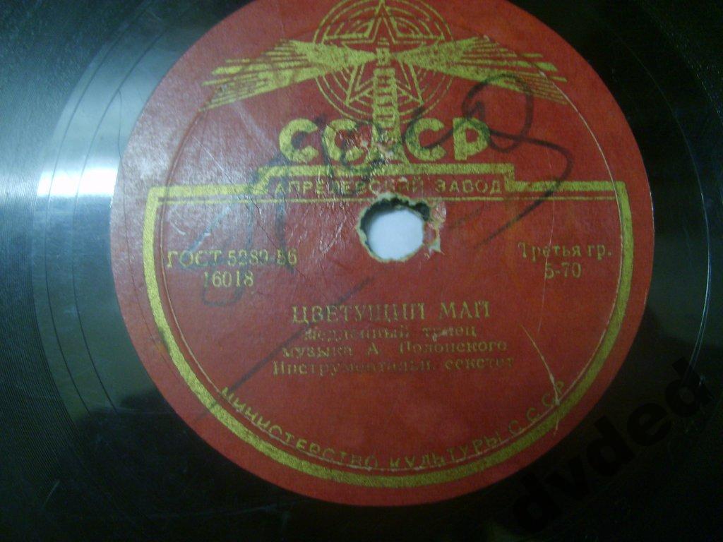 Инстр. ансамбль - Тополь / Цветущий май