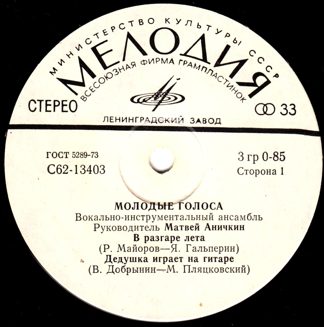 ВИА «МОЛОДЫЕ ГОЛОСА». Руководитель Матвей Аничкин
