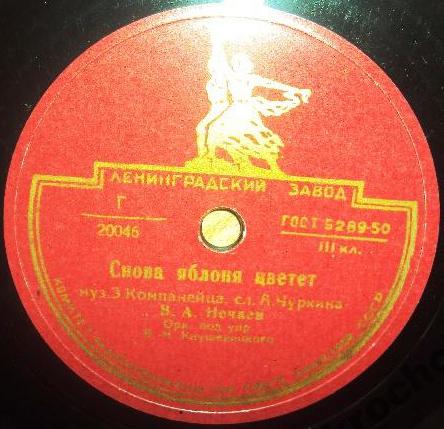 Белокрылые чайки / Снова яблоня цветёт