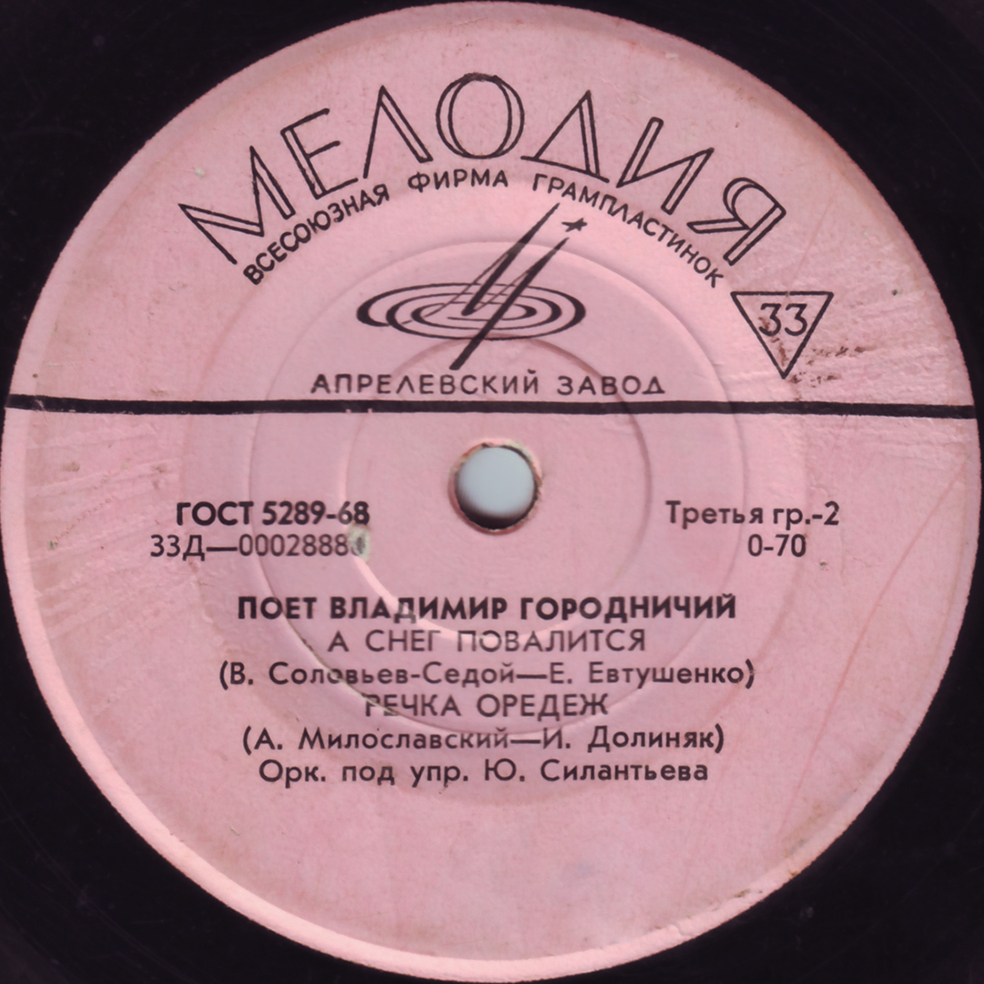 Поёт Владимир Городничий