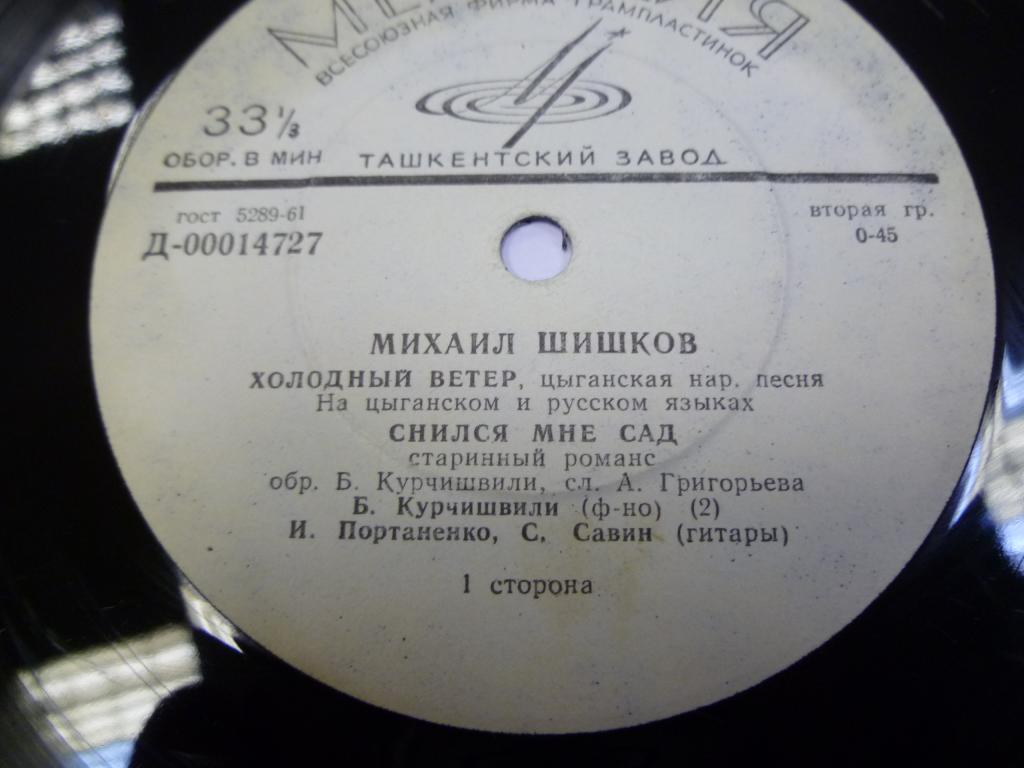 Михаил Шишков. Цыганские песни