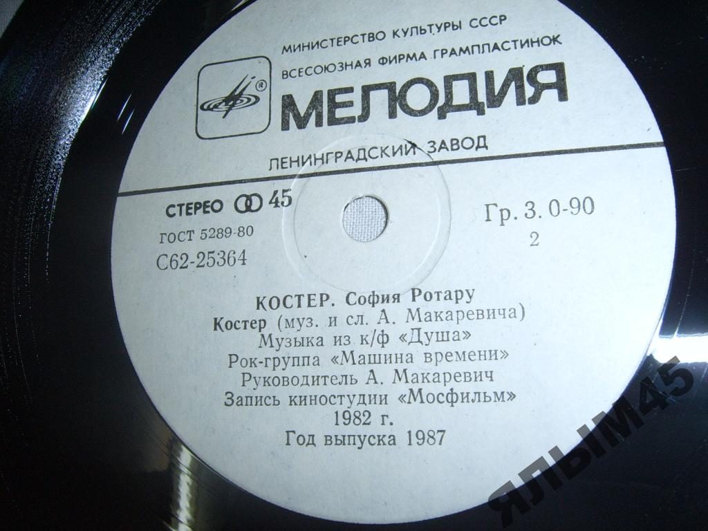 София Ротару. Костёр