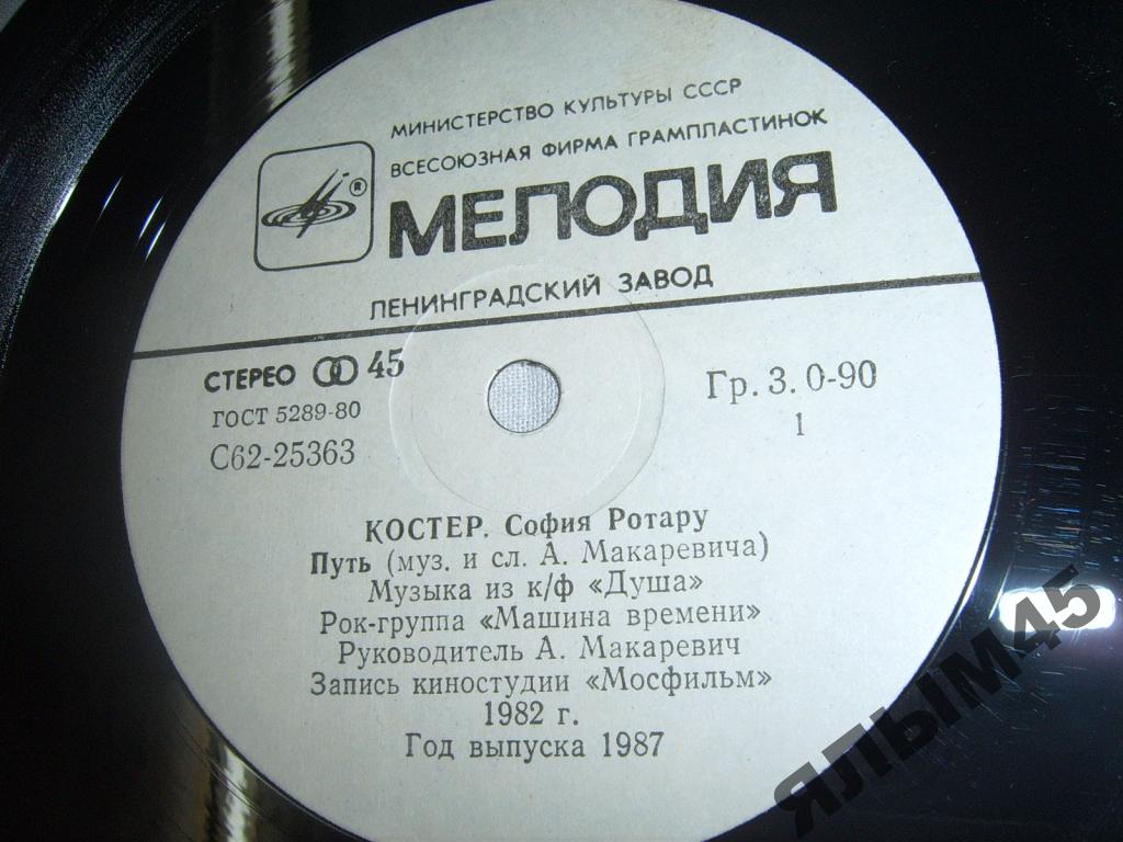 София Ротару. Костёр