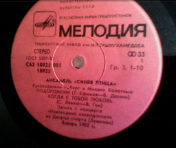АНСАМБЛЬ «СИНЯЯ ПТИЦА», рук. Роберт и Михаил Болотные.