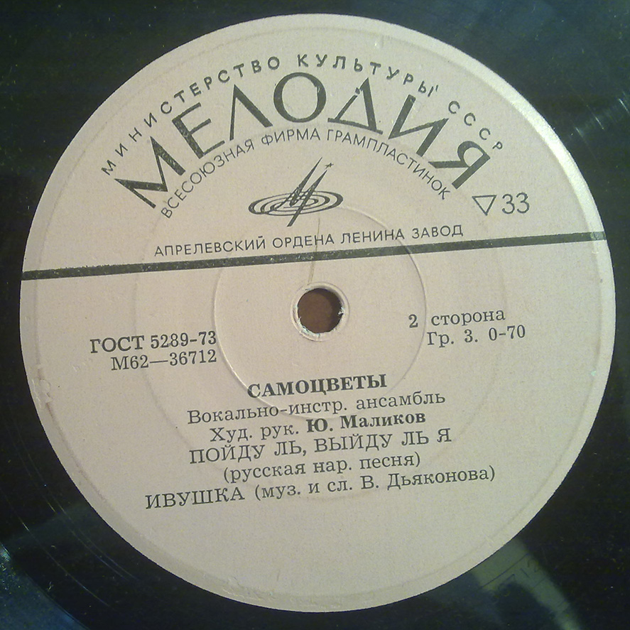 Вокально-инструментальный ансамбль "Самоцветы"