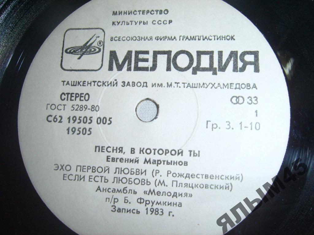 МАРТЫНОВ Евгений. «Песня, в которой ты»