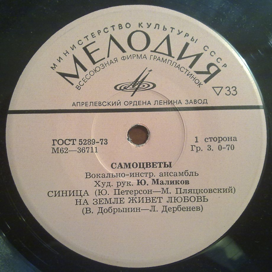 Вокально-инструментальный ансамбль "Самоцветы"