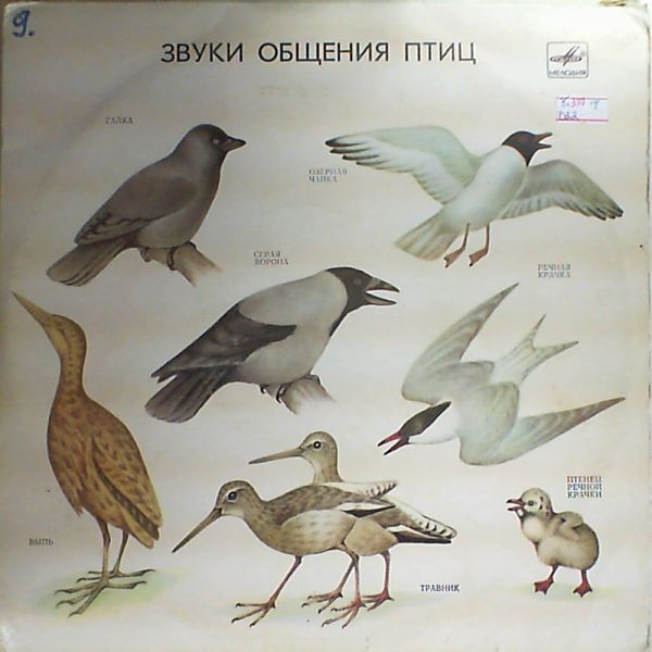 ЗВУКИ ОБЩЕНИЯ ПТИЦ (для учащихся средней школы)