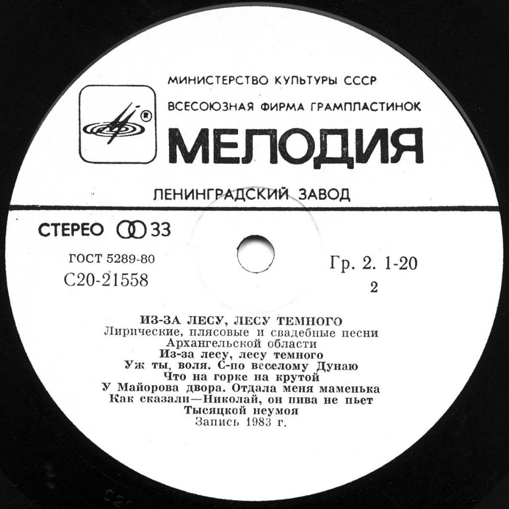 Из-за лесу, лесу тёмного