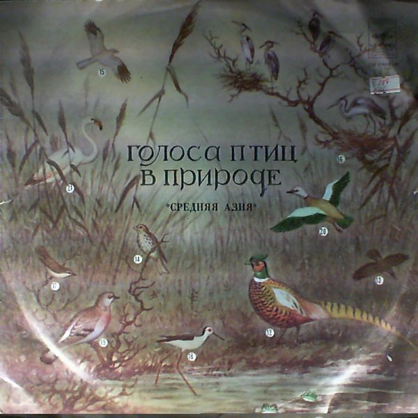 ГОЛОСА ПТИЦ В ПРИРОДЕ. Средняя Азия (6 серия)