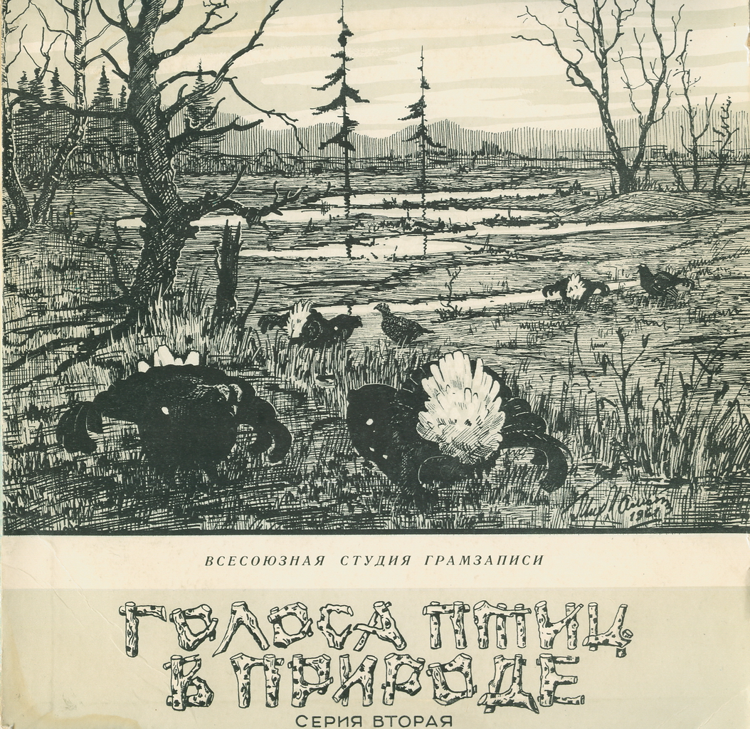 ГОЛОСА ПТИЦ В ПРИРОДЕ (2 серия)