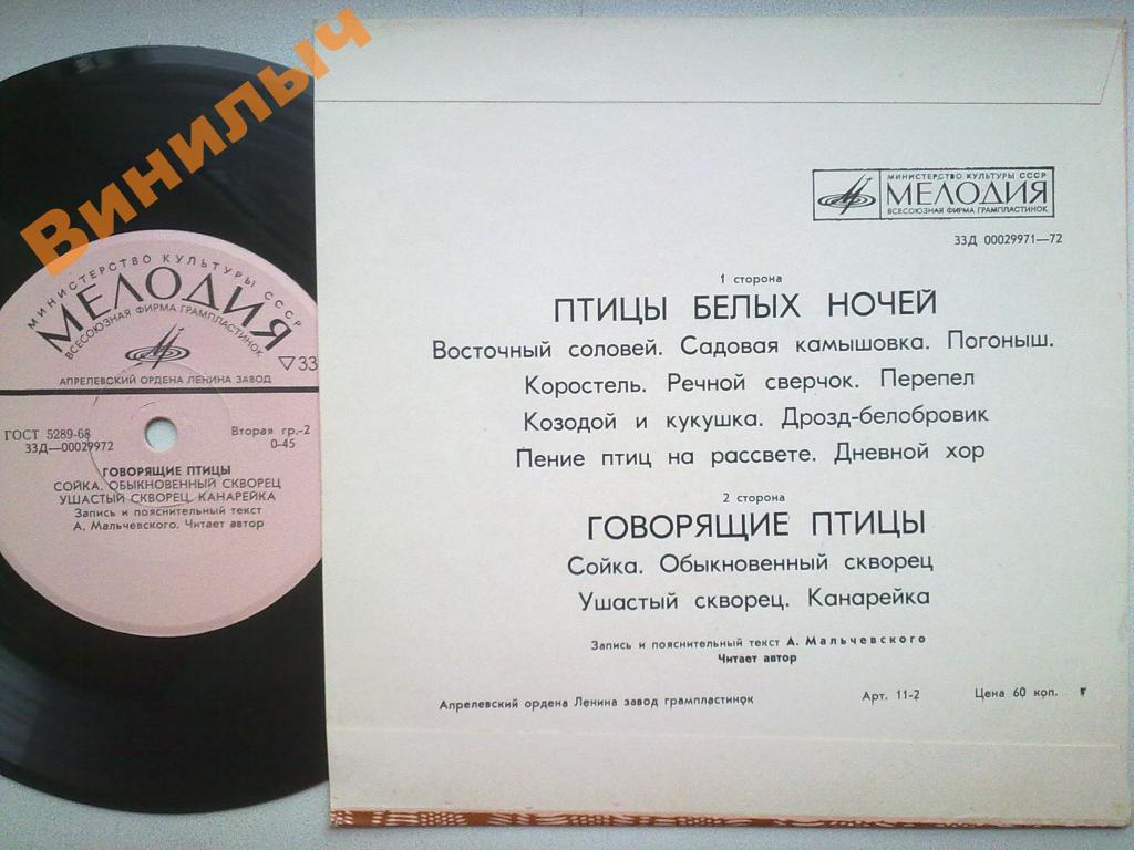 «ПТИЦЫ ПЕРЕД МИКРОФОНОМ И ФОТОАППАРАТОМ». Птицы белых ночей. Говорящие птицы