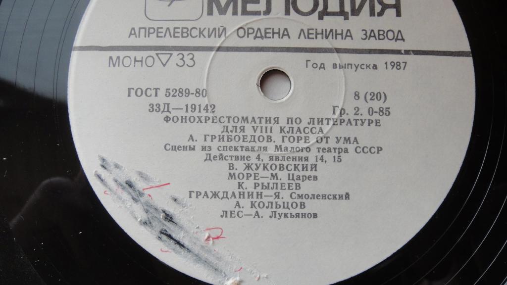 Фонохрестоматия по литературе для VIII класса