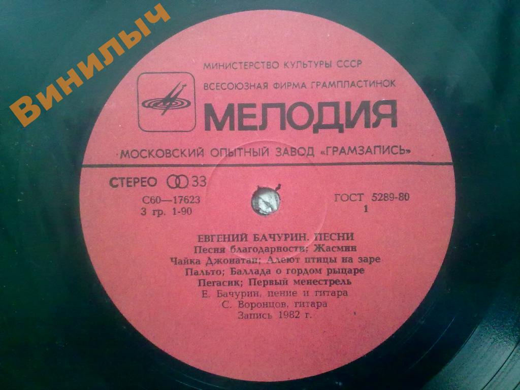 Евгений БАЧУРИН. Дерева. Песни