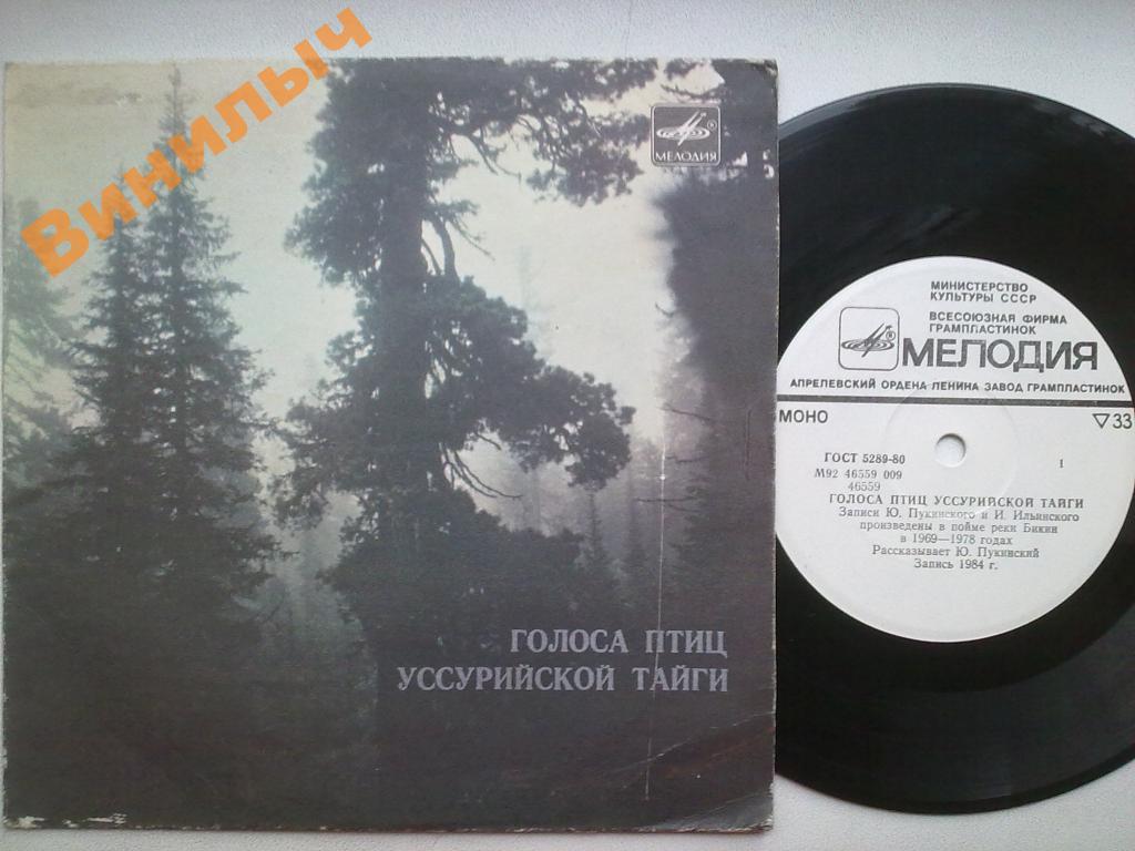 Голоса птиц уссурийской тайги