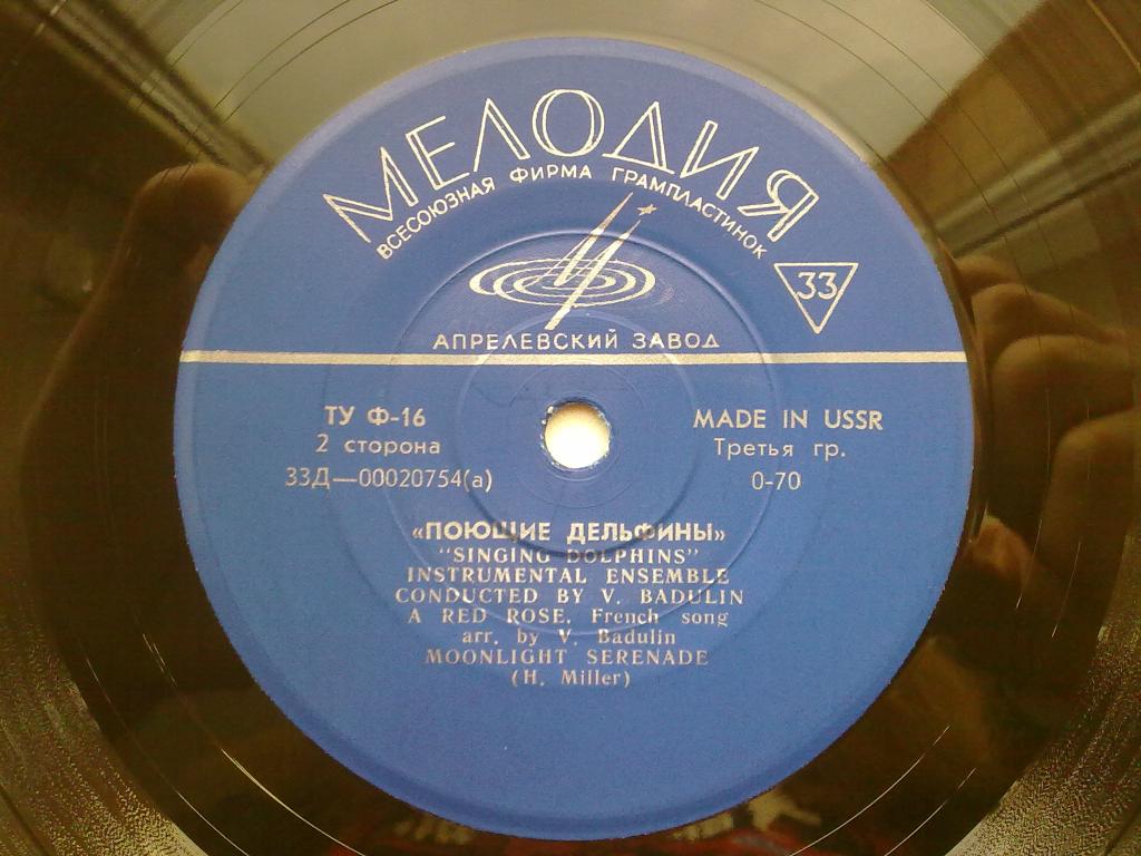 Инструментальный ансамбль «Поющие дельфины» п/у В. Бадулина