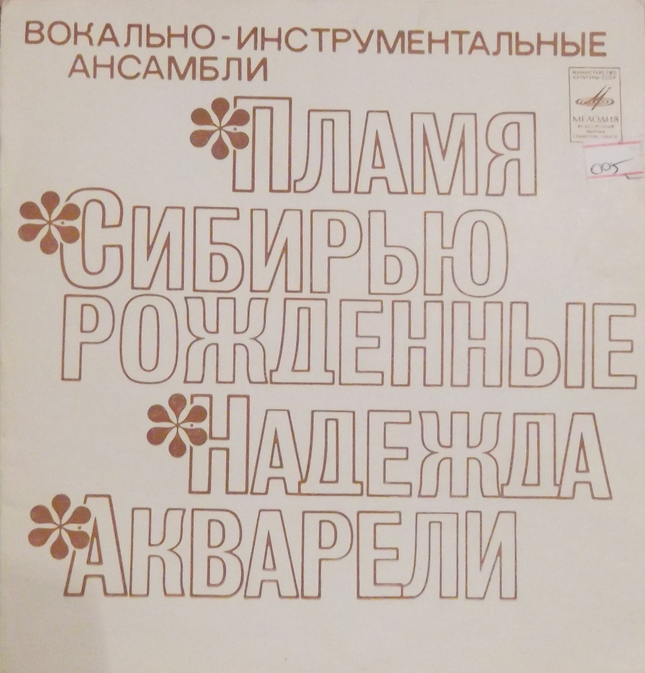 Вокально-инструментальные ансамбли