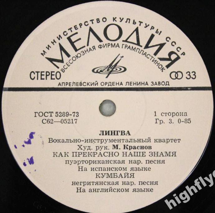 Вокально-инструментальный квартет "Лингва". Художественный руководитель М. Краснов