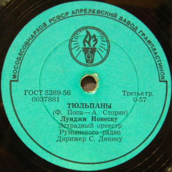 Тюльпаны // Майские цветы