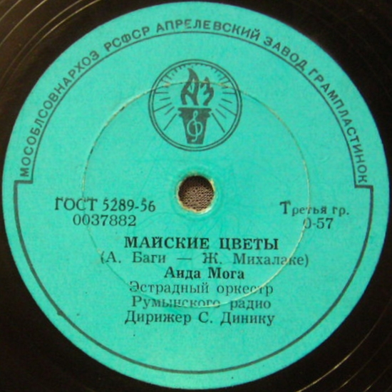 Тюльпаны // Майские цветы