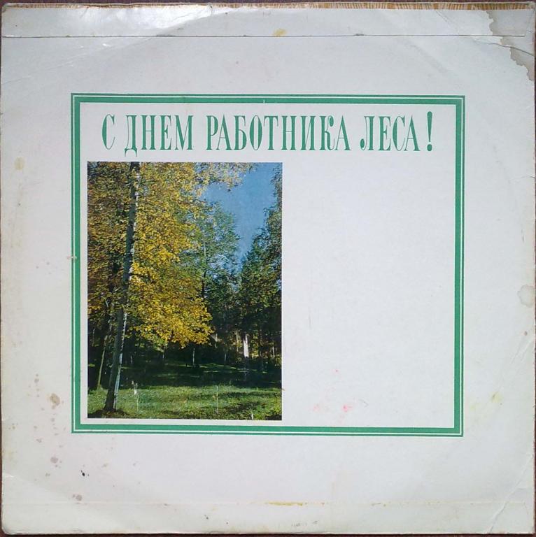 С днем работника леса!