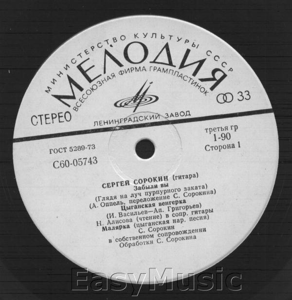 Сергей Сорокин (гитара)