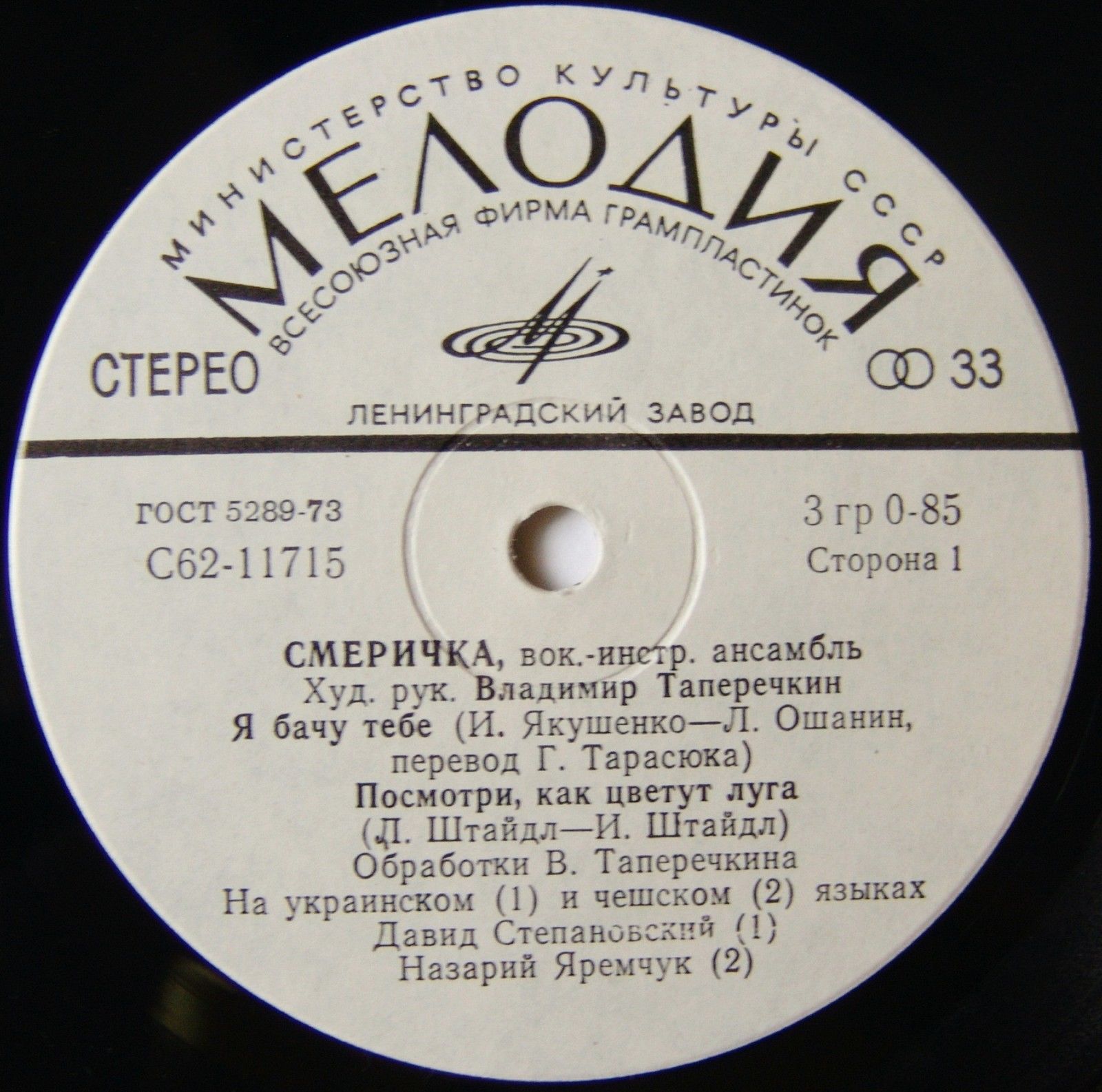 ВИА «СМЕРИЧКА», худ. рук. Владимир Таперичкин.