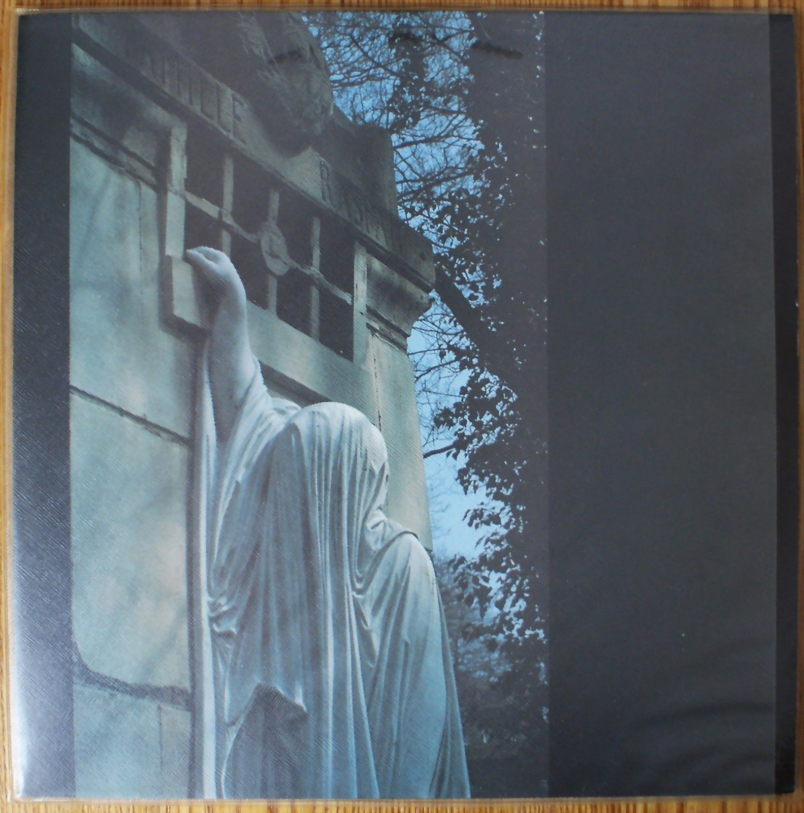 DEAD CAN DANCE. Within The Realm Of A Dying Sun