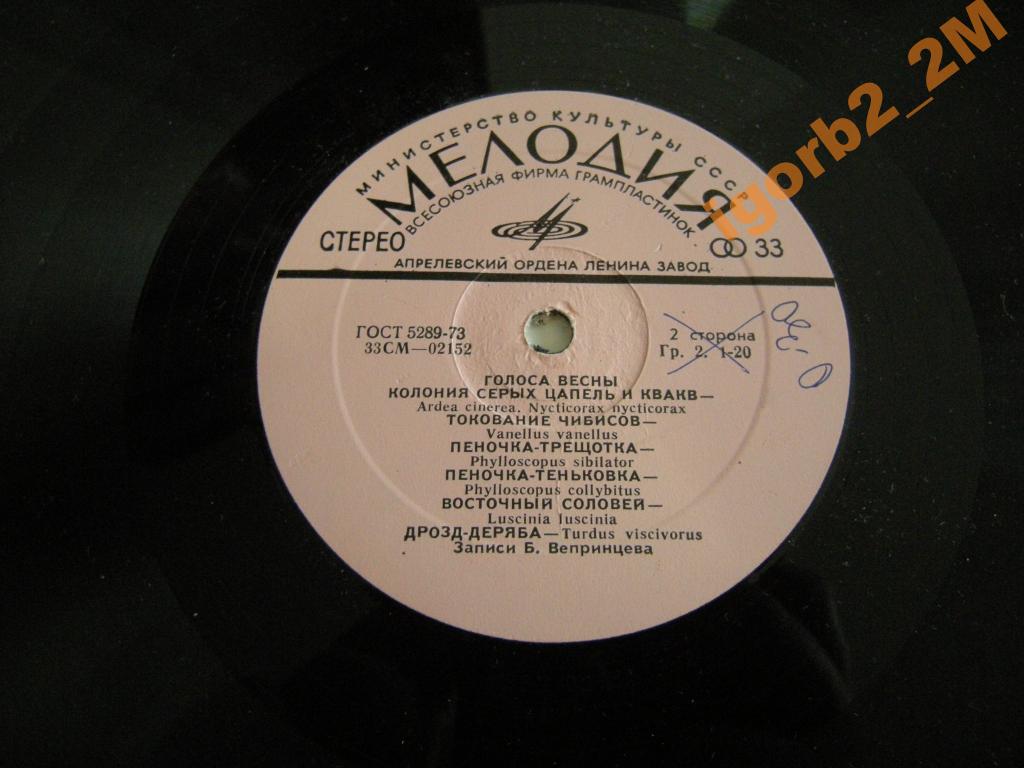 ГОЛОСА ВЕСНЫ  (записи пения и голосов птиц)