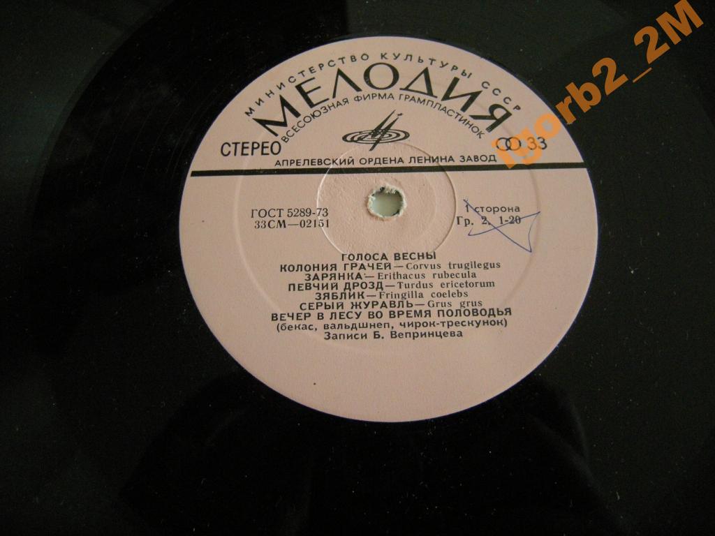 ГОЛОСА ВЕСНЫ  (записи пения и голосов птиц)