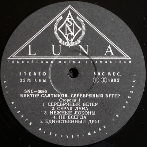 САЛТЫКОВ Виктор. Серебряный ветер