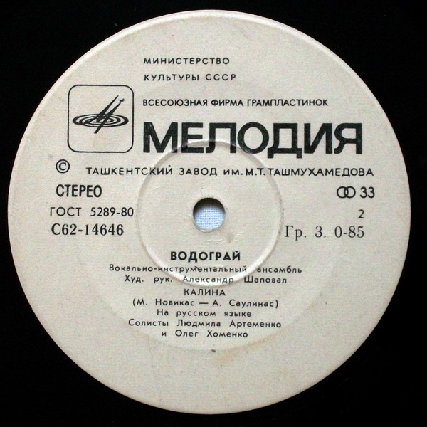 ВИА "Водограй"