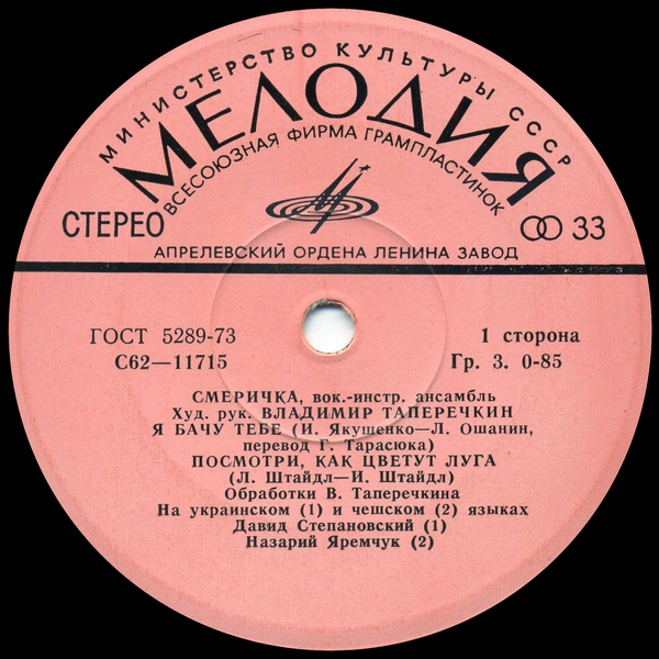 ВИА «СМЕРИЧКА», худ. рук. Владимир Таперичкин.