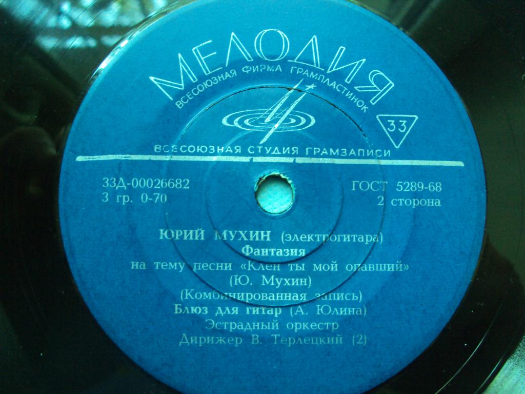 МУХИН Юрий (электрогитара)