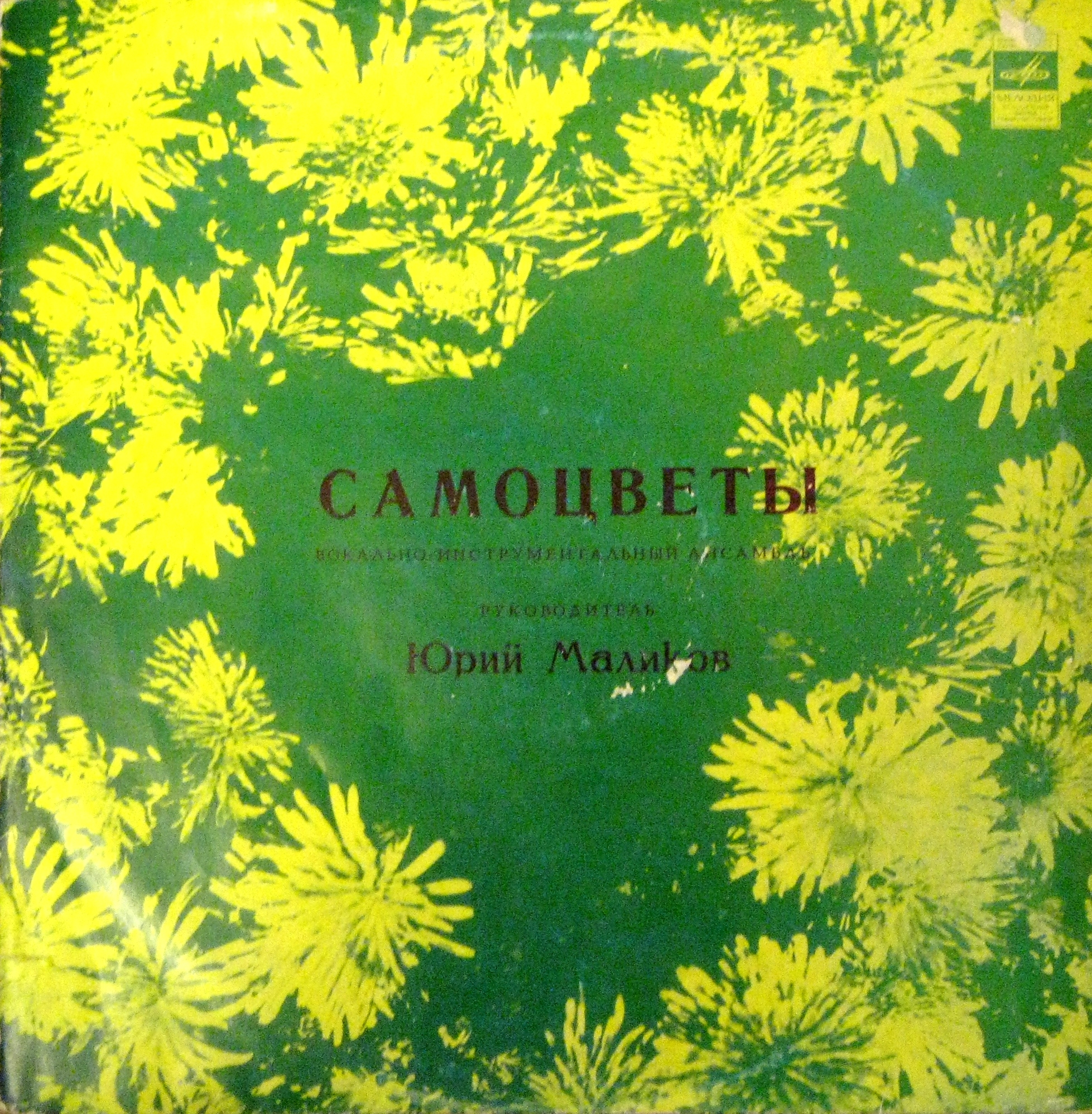 ВИА «Самоцветы»